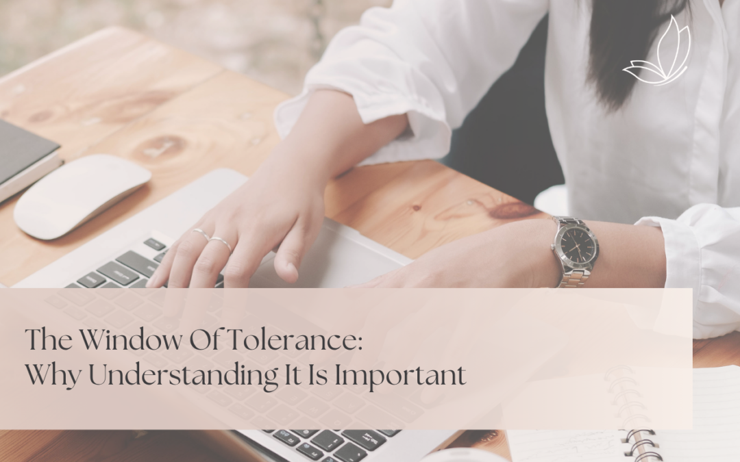 The Window of Tolerance: Why Understanding it is Important