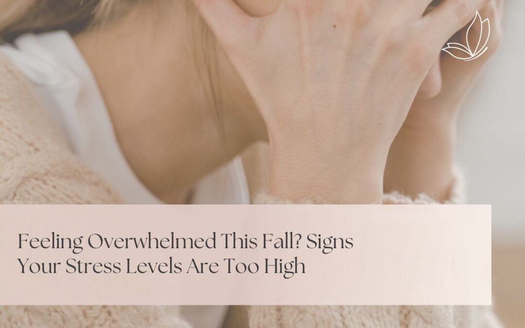 Feeling Overwhelmed This Fall? Signs Your Stress Levels Are Too High